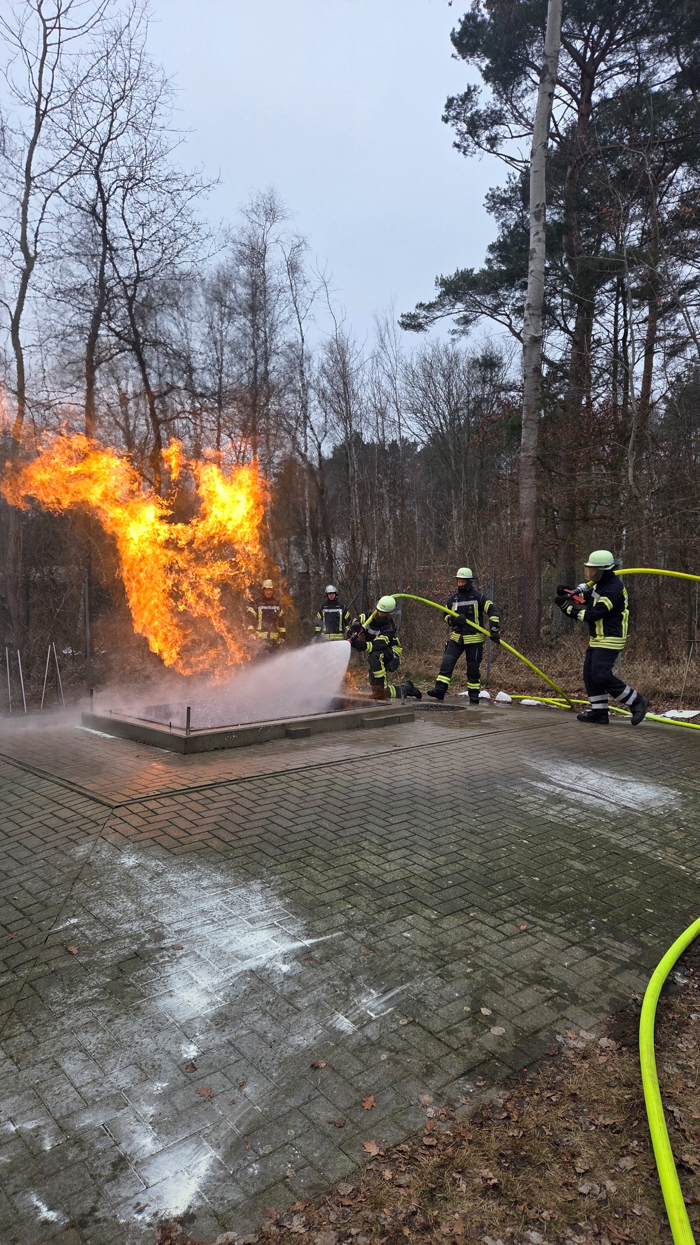 WhatsApp Image 2026 02 19 at 142551 2